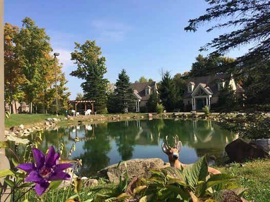 Spruce Hill Inn & Cottages Mansfield Luaran gambar