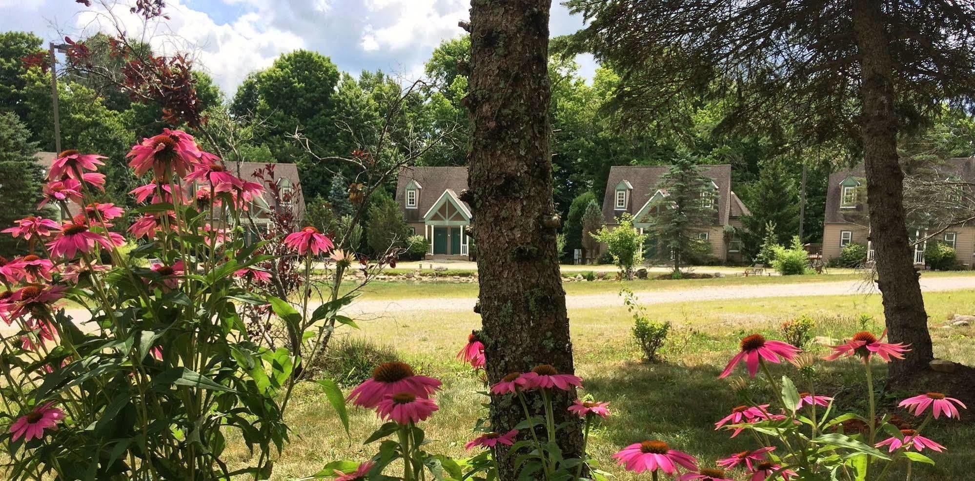Spruce Hill Inn & Cottages Mansfield Luaran gambar